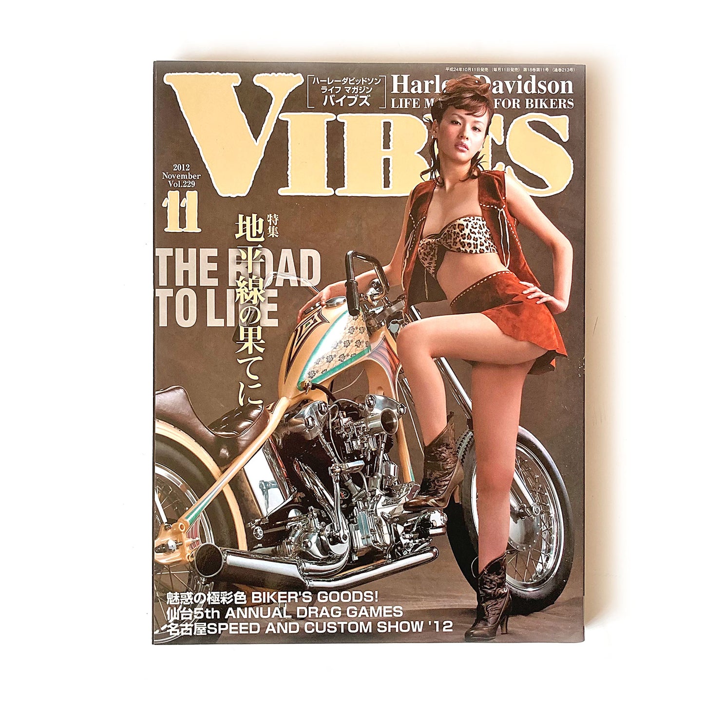 Vibes Magazine Japan, November 2012, nude centrefold