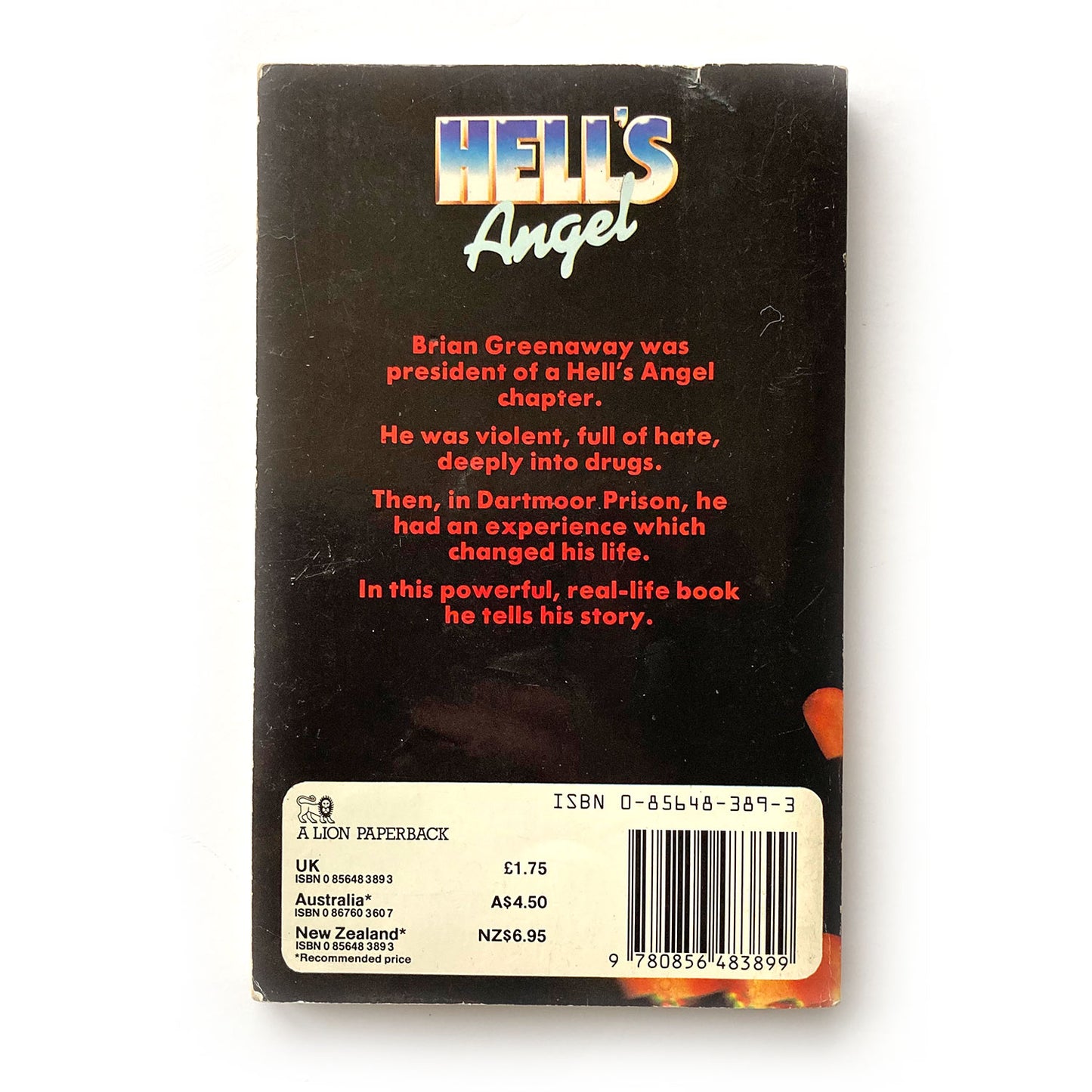 Hell's Angel by Brian Greenaway, 1985