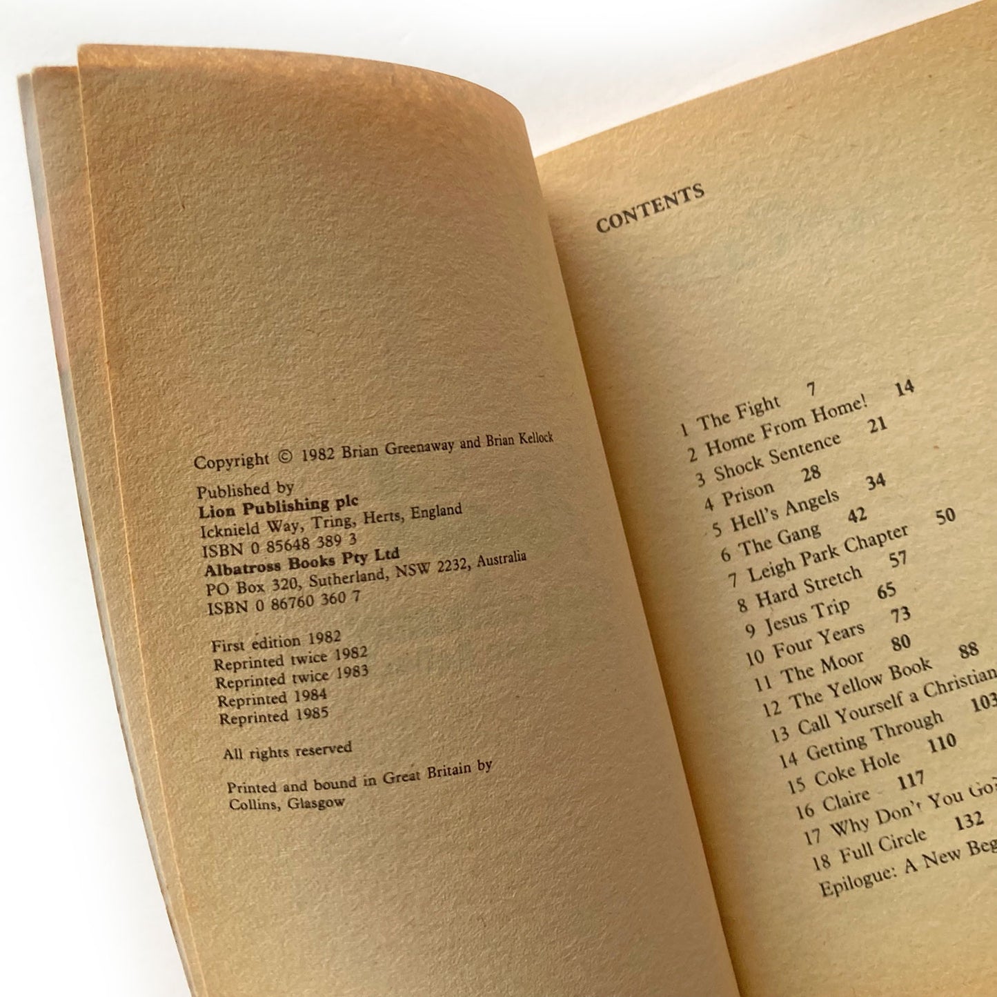 Hell's Angel by Brian Greenaway, 1985